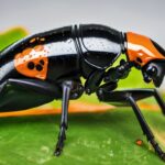 acid shooting mechanism explained