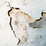 astronauts experience slower aging