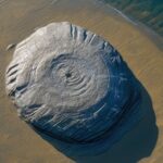 baltic sea ufo discovery