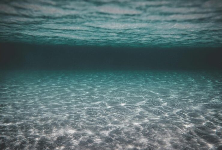 beaver diving depth limits