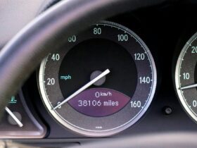 car price data control