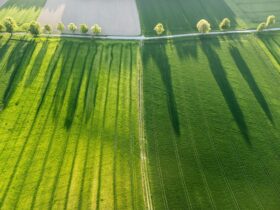 earths fitting inside sun