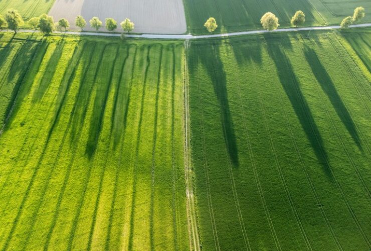 earths fitting inside sun