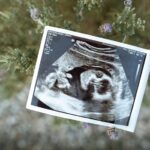 frozen embryo for decades