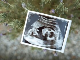 frozen embryo for decades