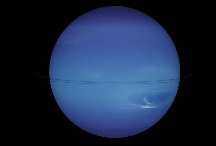 giant planet with unexpected rings