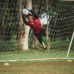 gta 6 story gameplay insights