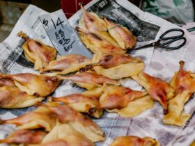 italian deli culture phenomenon