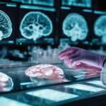 latest insights on afterlife