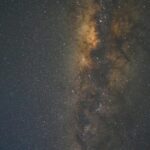 life shapes the universe