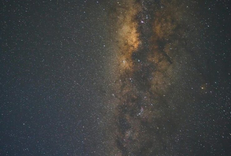 life shapes the universe