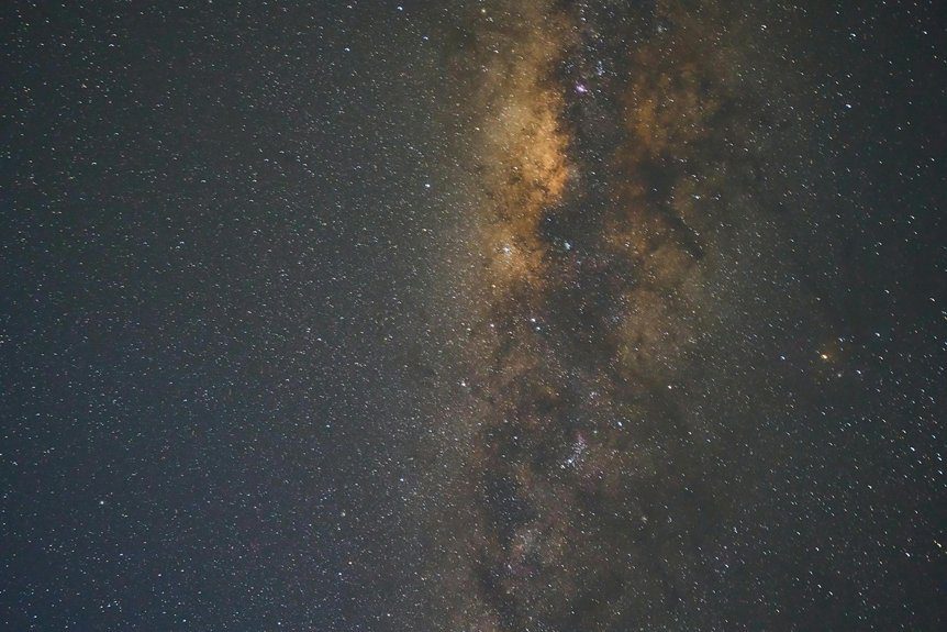 life shapes the universe