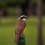 most downvoted reddit post