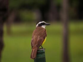 most downvoted reddit post