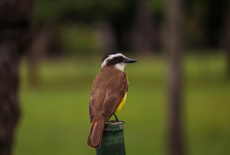 most downvoted reddit post