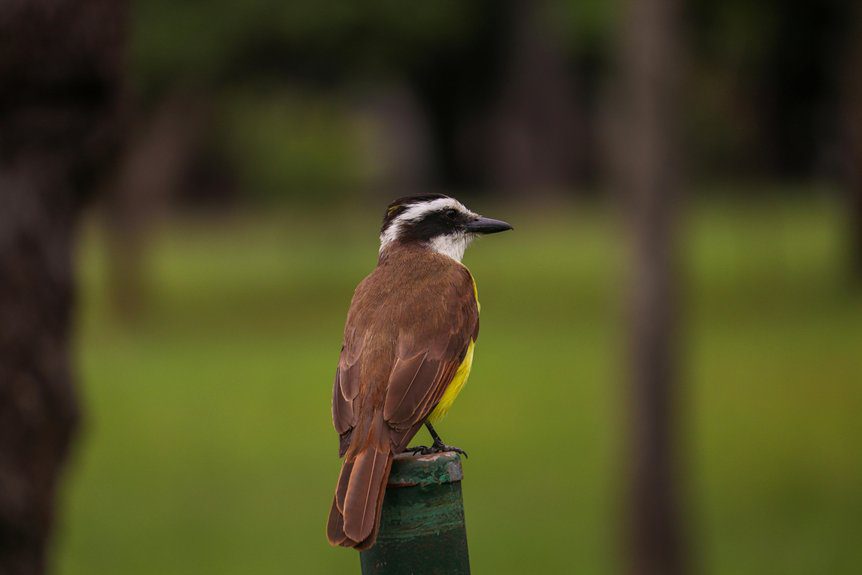 most downvoted reddit post