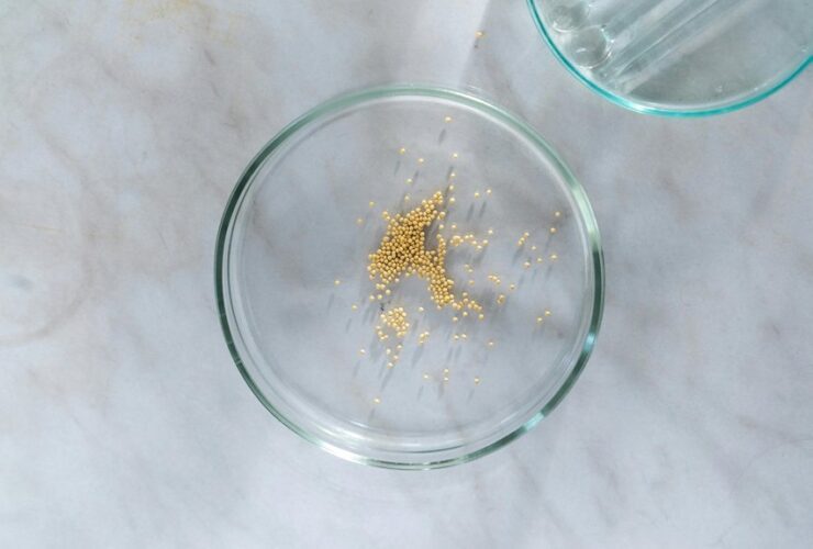 spice and sandworms feasibility