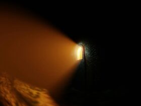 terrifying historical dungeon experience