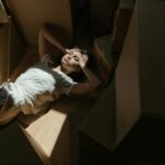 top iptv boxes reviewed