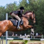trailblazing female baseball player