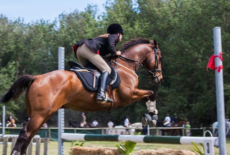 trailblazing female baseball player