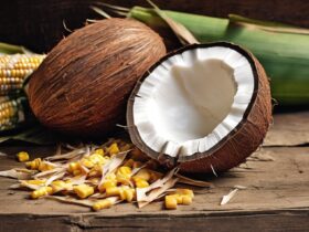 coconut corn husk humor